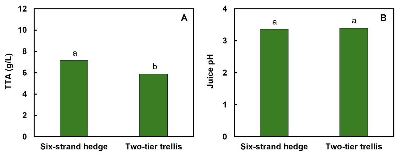 Irrigation strategy trellis system Part 3 Figure 1