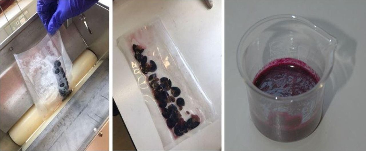 Seeds red wine phenolics Part 1 Figure 2