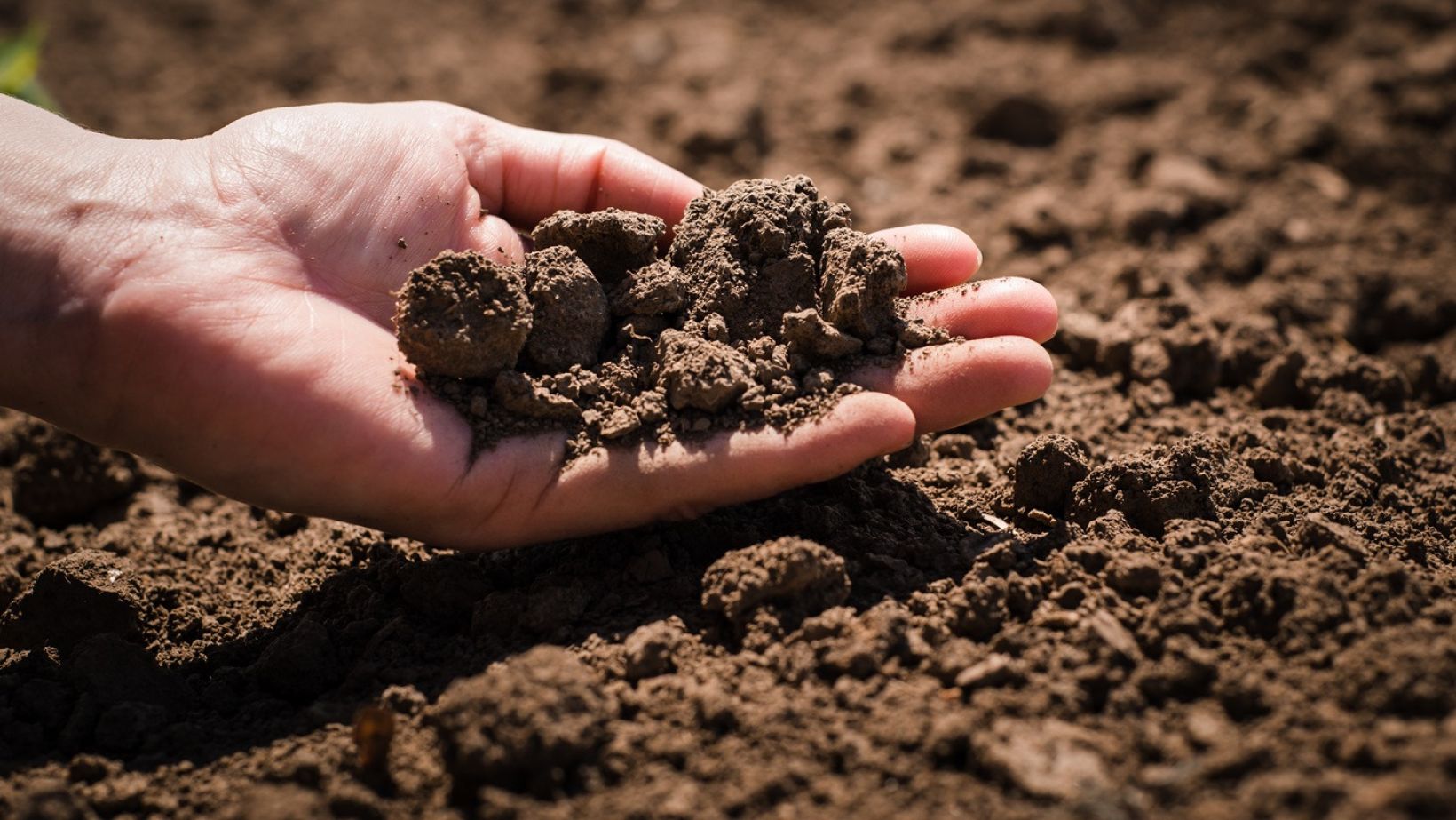Soil, cultivated dirt, earth, ground, brown land background. Organic gardening, agriculture. Nature closeup. Environmental texture, pattern. Mud on field.