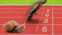 In die kelder Shutterstock Chat GPT