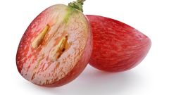 Seeds red wine phenolics Part 2 Shutterstock