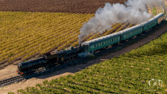 Trein 1