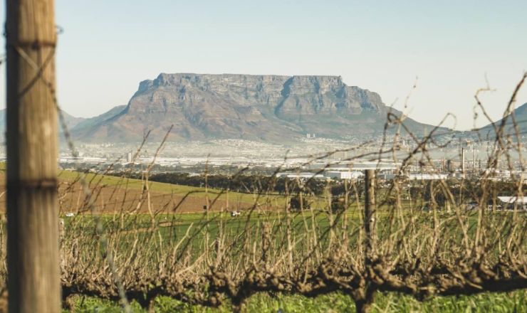 Mellish Family Vineyards