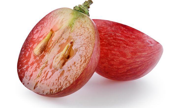 Seeds red wine phenolics Part 2 Shutterstock