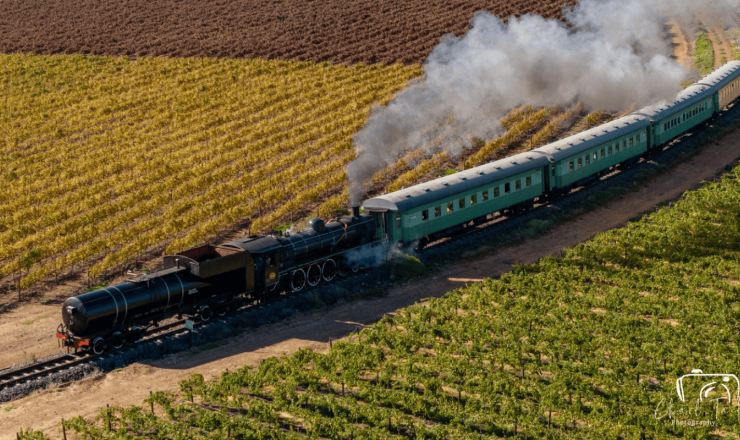 Trein 1
