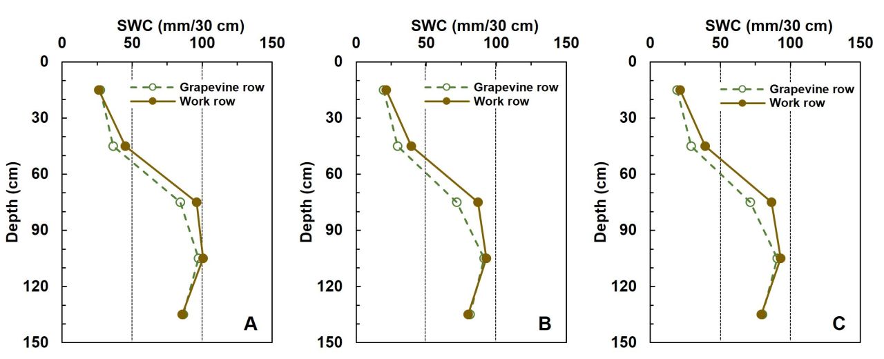Drought tolerance of different scion cultivars Part 2 Figure 6