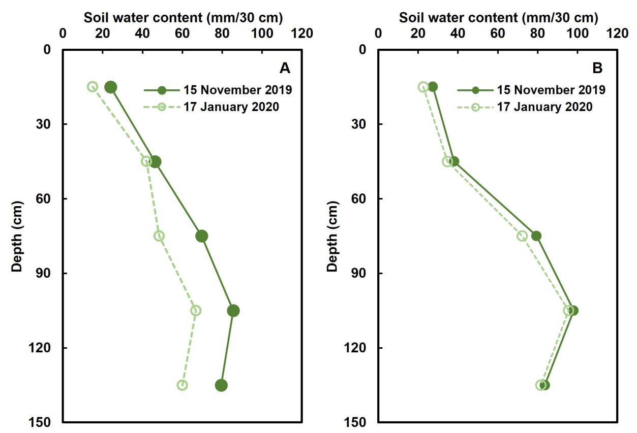Drought tolerance of different scion cultivars Part 2 Figure 2