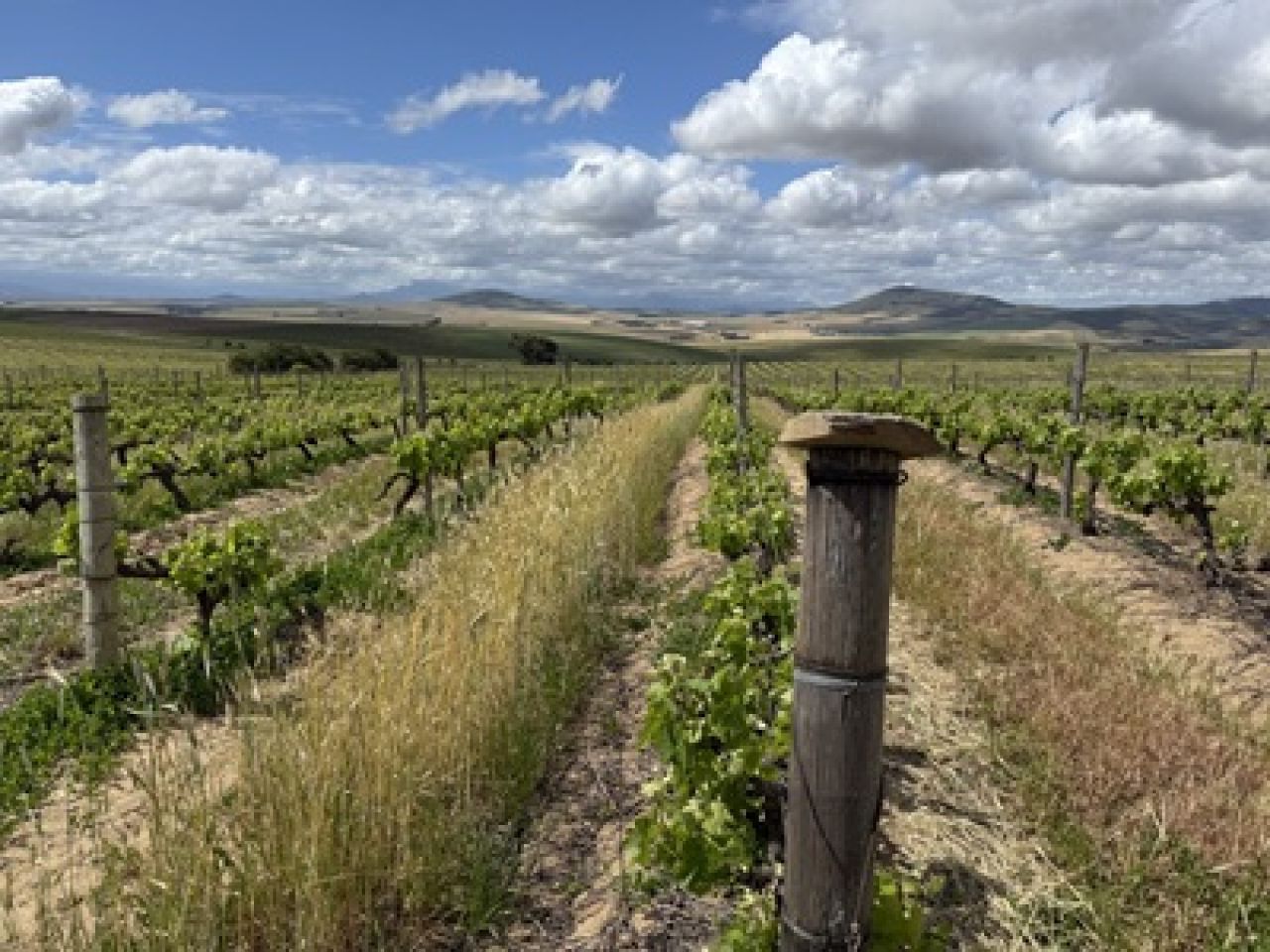 Havana Hills2