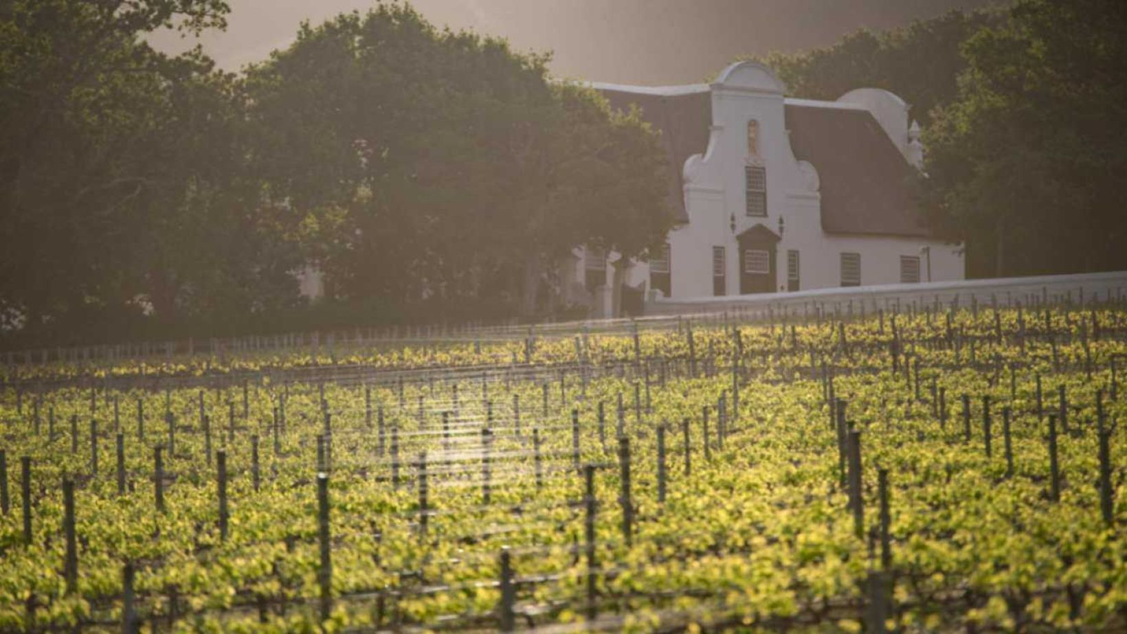 Feature Image Groot Constantia