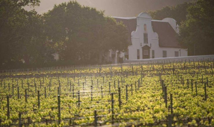 Feature Image Groot Constantia
