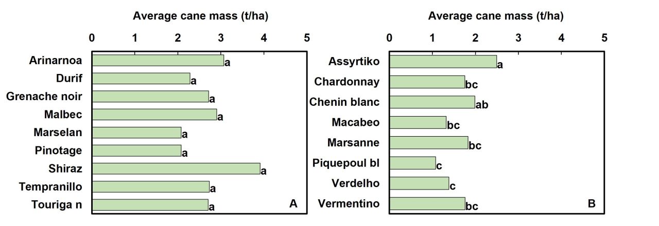 Drought tolerance of different scion cultivars Part 4 Figure 1