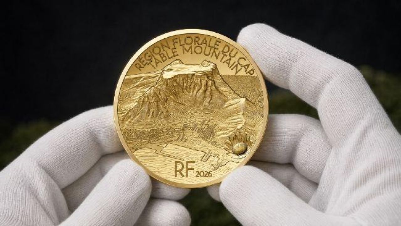 Table mountain gold closeup 650