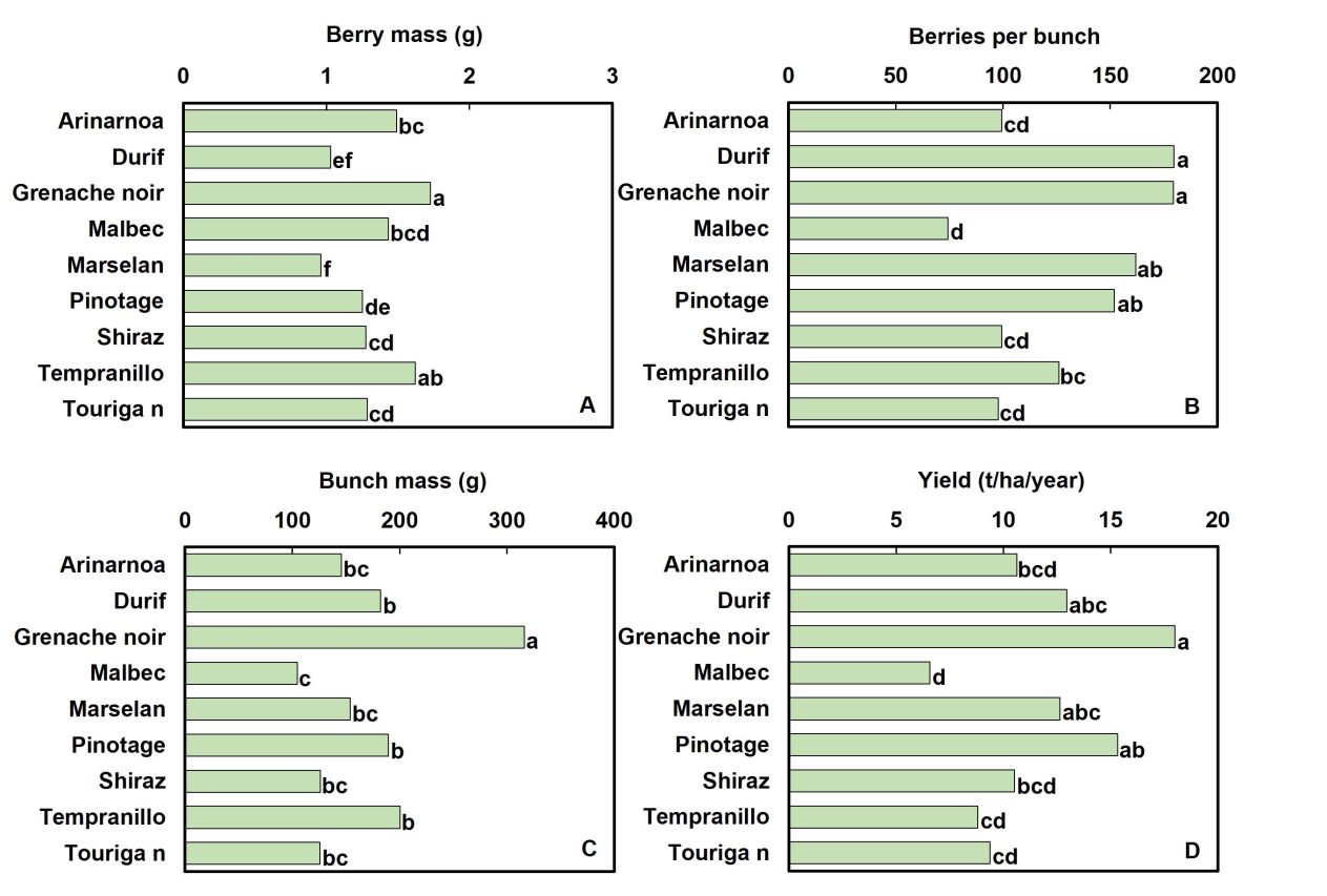 Drought tolerance of different scion cultivars Part 4 Figure 5