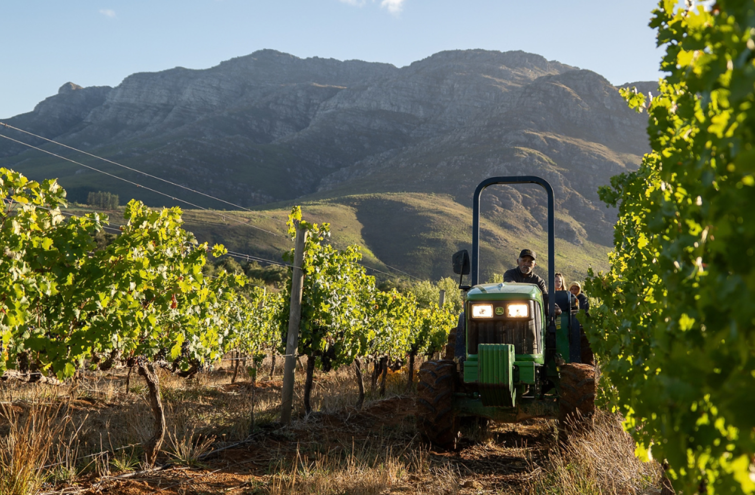 How to understand regenerative farming