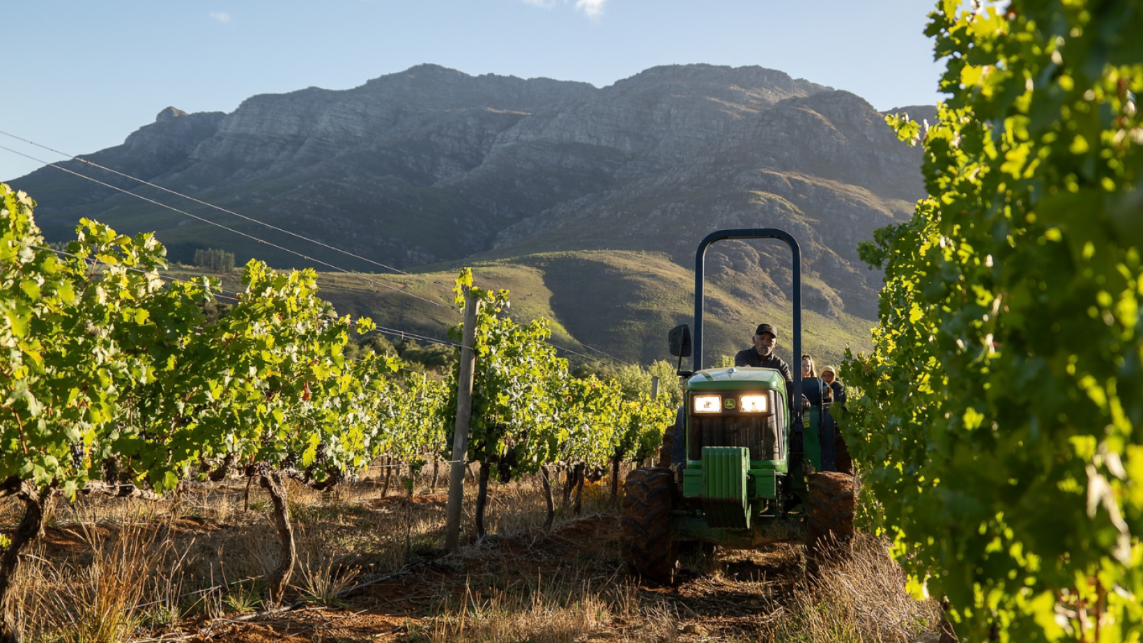 How to understand regenerative farming