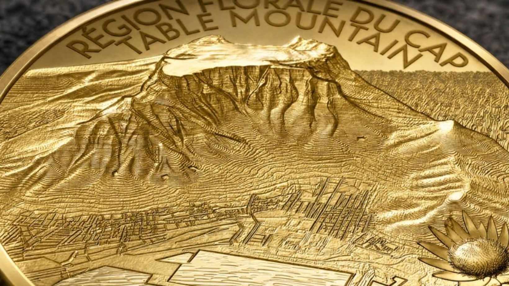 Table mountain gold face closeup feature