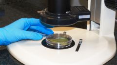 Safeguarding agricultural biosecurity through insect diagnostics