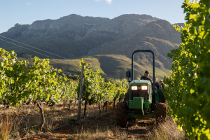 How to understand regenerative farming