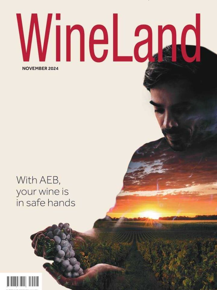 Wineland November 2024