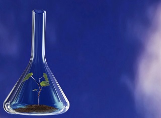 New Winetech projects for 2017 (Part 5)