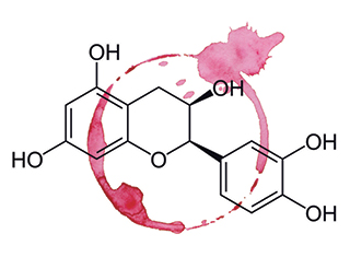 Why wine smells like wine