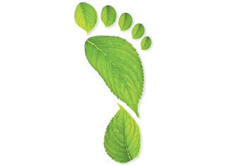 How to reduce your carbon emissions