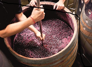 New tools to help overcome stuck fermentations in wine
