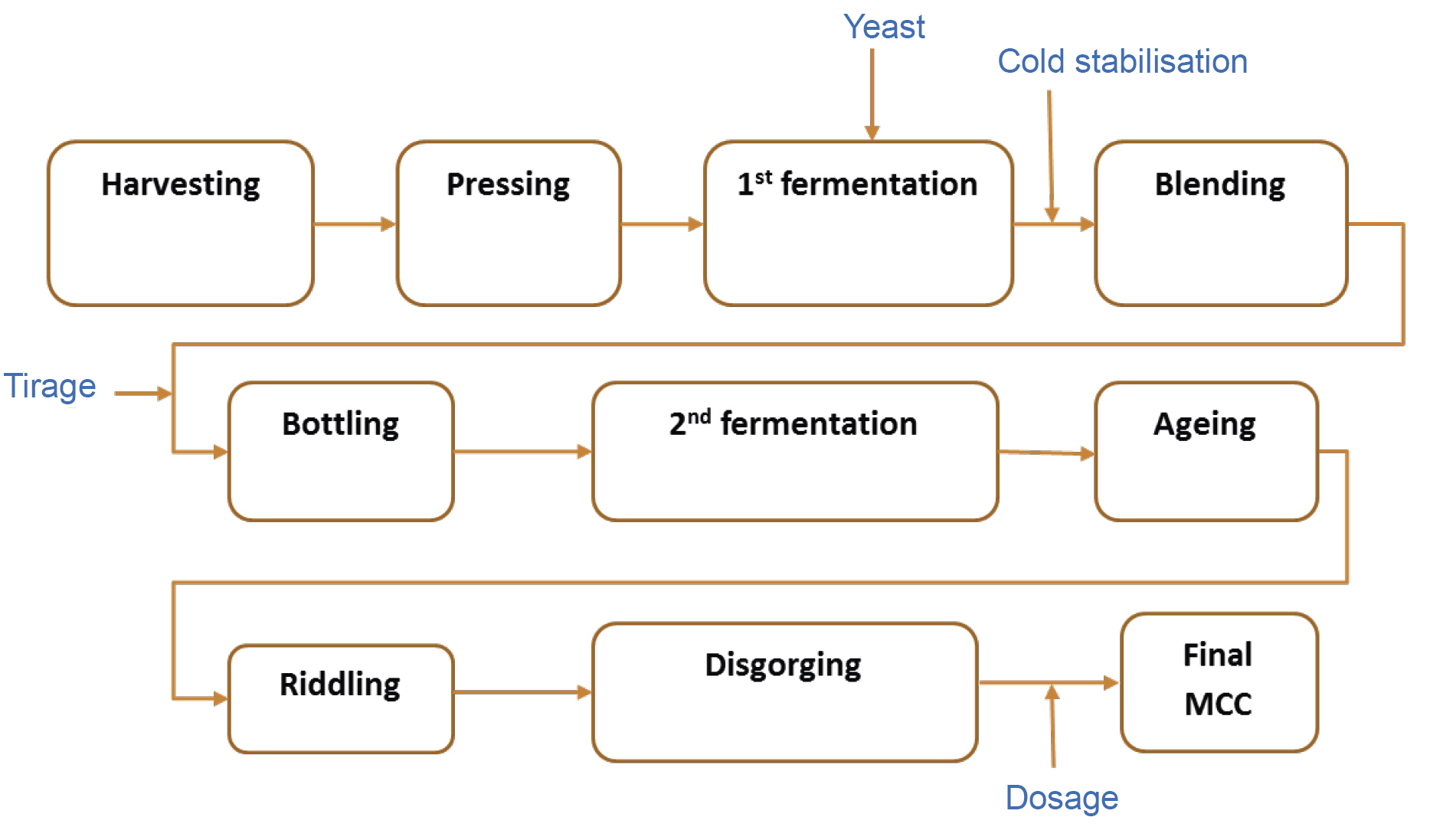 Sparkling wine (Part 1) Sensory perception of traditional style