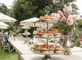 Celebrate ‘in full bloom’ at this year’s Protea party!