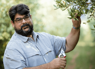 Tokara single varietal gem strikes gold at SA Olive Awards