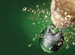 Organic acids of MCC wines – a function of grape temperature prior to pressing