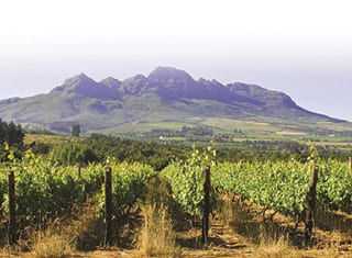 PVGIS – a solar photovoltaic calculator tool to optimise light harvesting in viticulture
