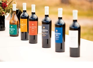 Origin Wine: A Tale of Two Terroirs