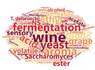 Non-Saccharomyces yeasts and malolactic fermentation