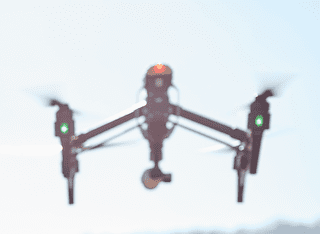 Aerobotics hits major milestone with 10 millionth tree processed