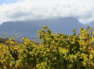 New water allocations will help the agricultural sector recover from the impact of the drought