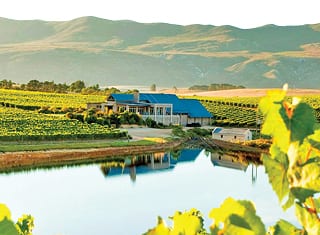 Wine tourism: the way to go