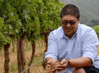 Wielding the magic wand: Q&A with Timothy Witbooi, Lourensford Estate