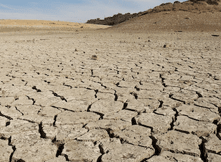 Climate change a top concern for agribusinesses, according to Allianz Risk Barometer