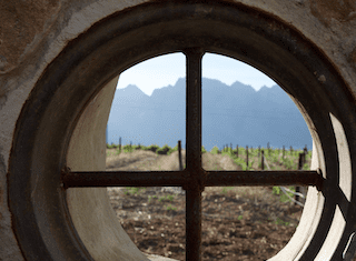 Breedekloof’s Valley of Plenty: Where every vine tells a story