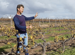 Johan Reyneke: South Africa’s ‘intentional farmer’