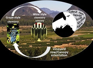 Vineyard row orientation (Part 5) – unwooded and wooded Shiraz wine attributes