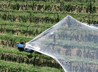 Agricultural careers: Grounds for growth