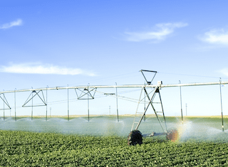 Support for agri-processing sees significant growth for SMMEs