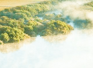 Why Orange River Cellars’ Sauvignon Blanc was 2018’s talk of the town