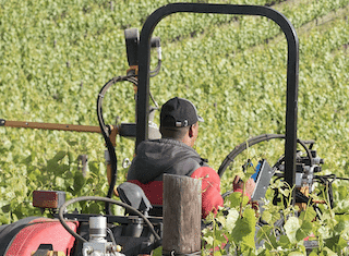 Call for Nominations: Youth in Agriculture, Forestry and Fisheries Awards 2019