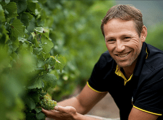 Q&A with Hannes Nel, cellarmaster at Lourensford Estate: progress report on #harvest2019