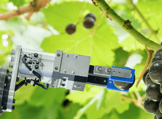 Technology is ‘disrupting’ agriculture and will bring benefits to 21st century farmers, says Standard Bank