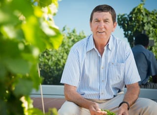 SA Harvest report 2019