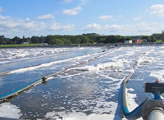 Management and re-use of treated winery wastewater (Part 2): Dairy and municipal wastewaters in New Zealand